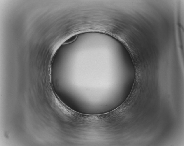 X0000100361524200806201552