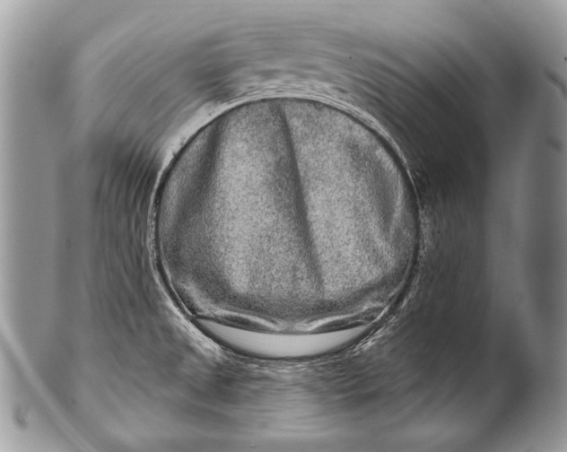 X0000100361525200806201552