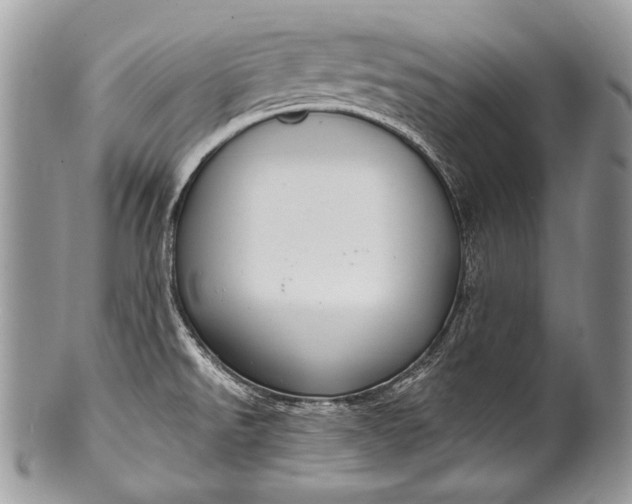 X0000100361526200806201552