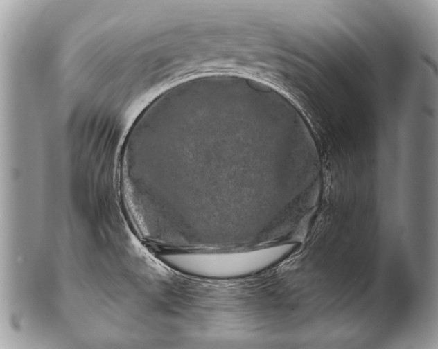 X0000100361527200806201552