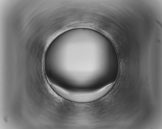 X0000100361528200806201552