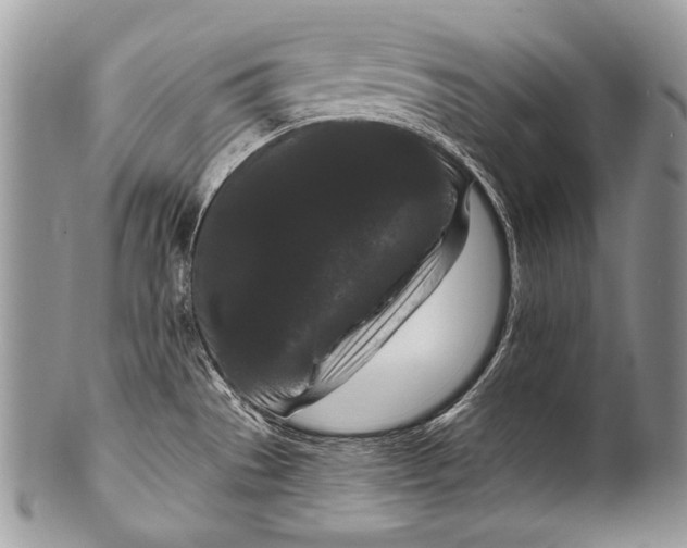 X0000100361529200806201552