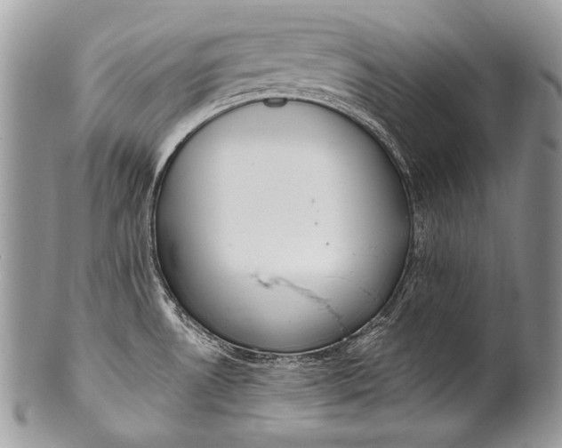 X0000100361530200806201552