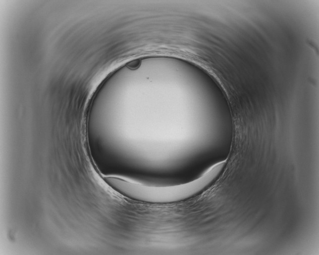 X0000100361531200806201552