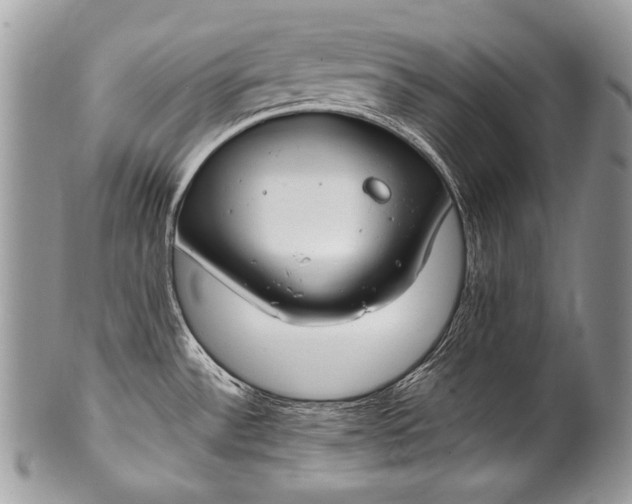 X0000100361532200806201552