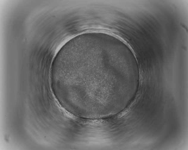 X0000100361533200806201552