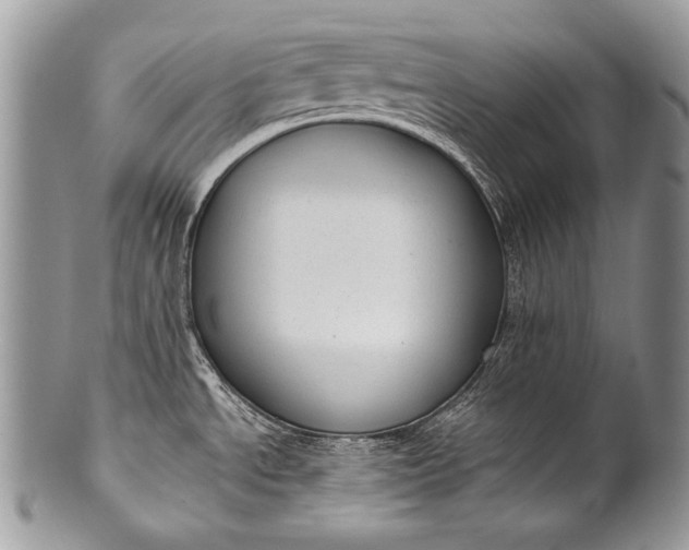 X0000100361534200806201552