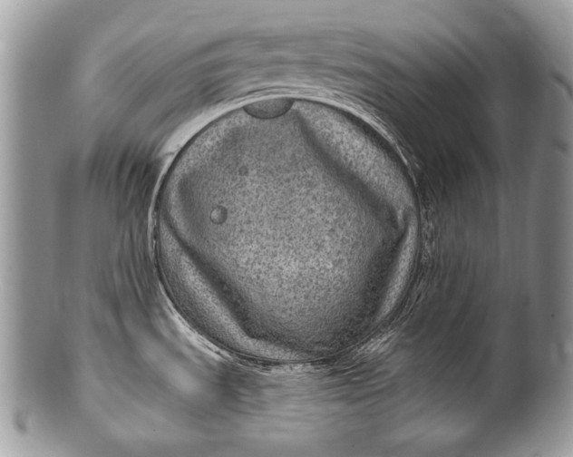 X0000100361535200806201552