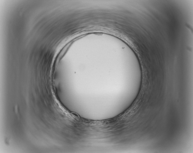 X0000100361536200806201552