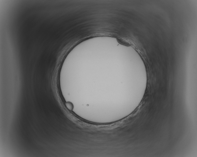 X0000100360001200806271433