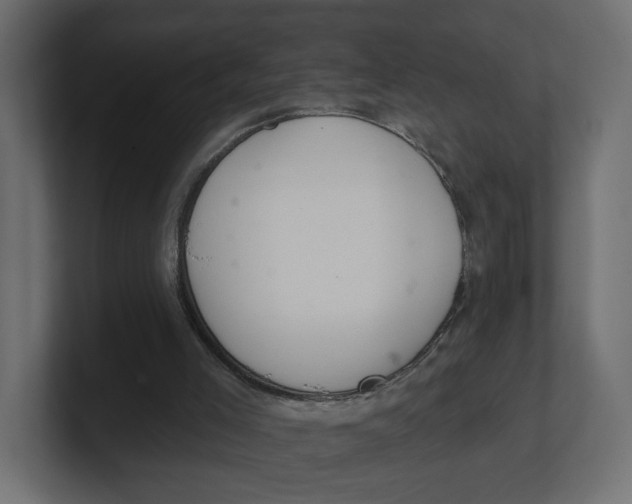 X0000100360005200806271433