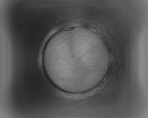 X0000100360006200806271433