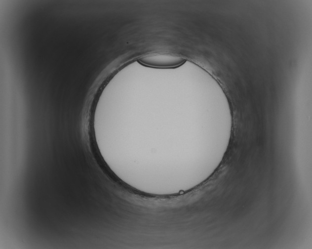 X0000100360007200806271433