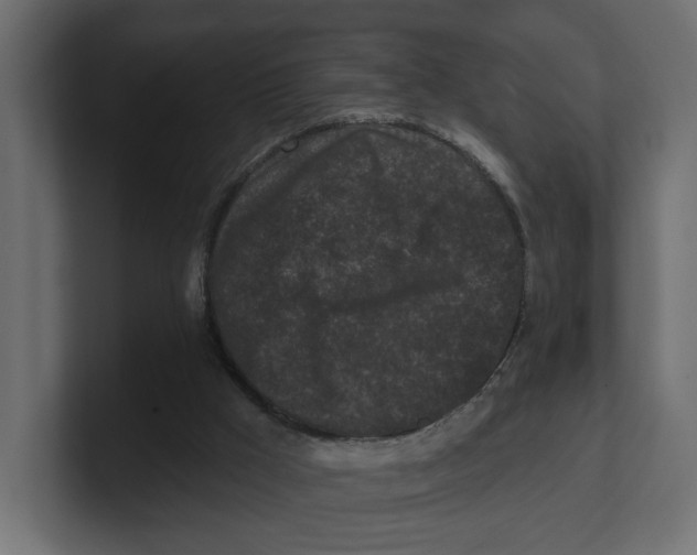 X0000100360009200806271433