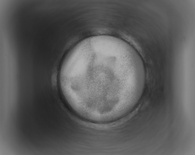 X0000100360010200806271433