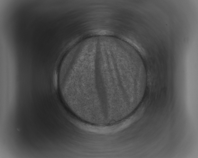 X0000100360014200806271433