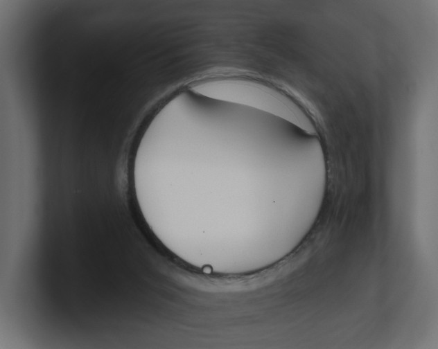 X0000100360015200806271433