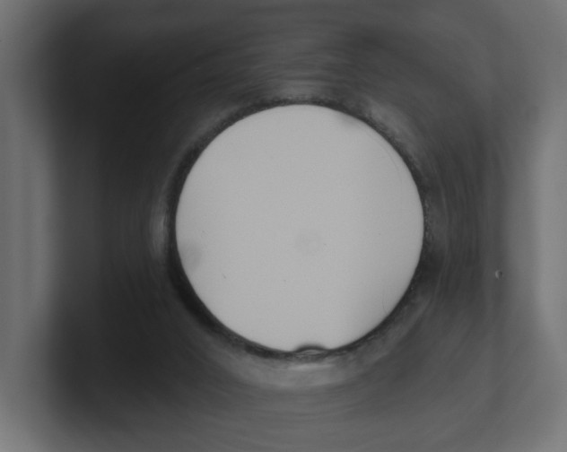 X0000100360016200806271433