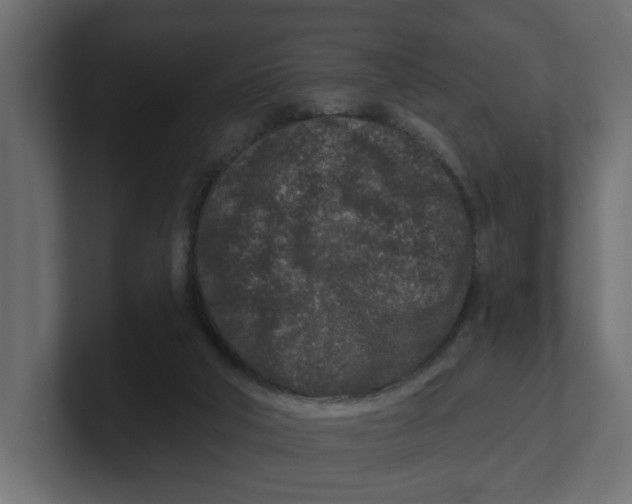 X0000100360018200806271433