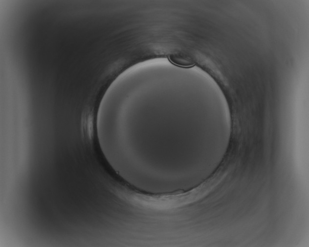 X0000100360019200806271433