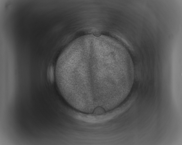 X0000100360022200806271433