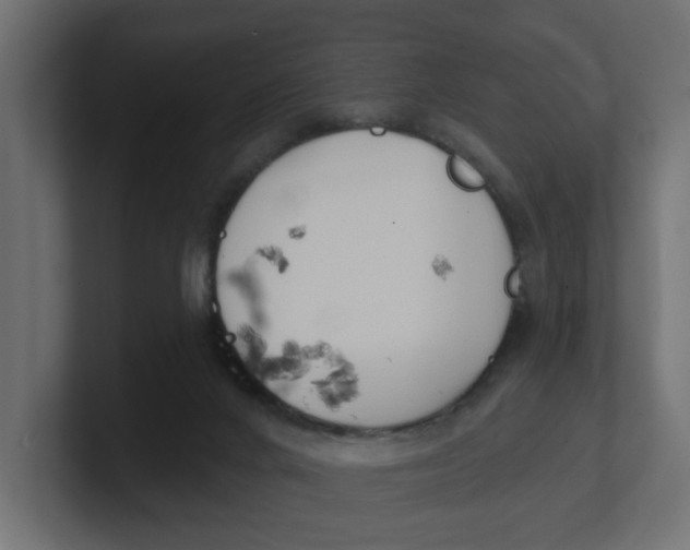 X0000100360024200806271433