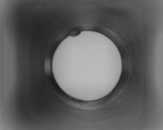 X0000100360028200806271433