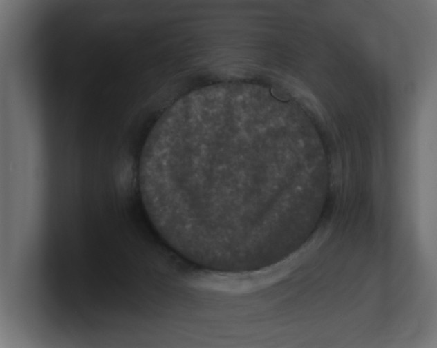 X0000100360029200806271433