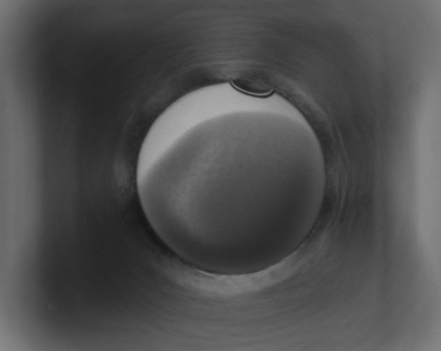 X0000100360031200806271433