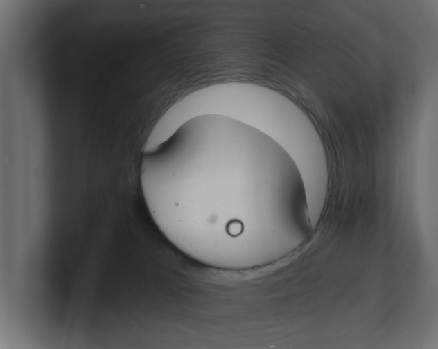 X0000100360037200806271433