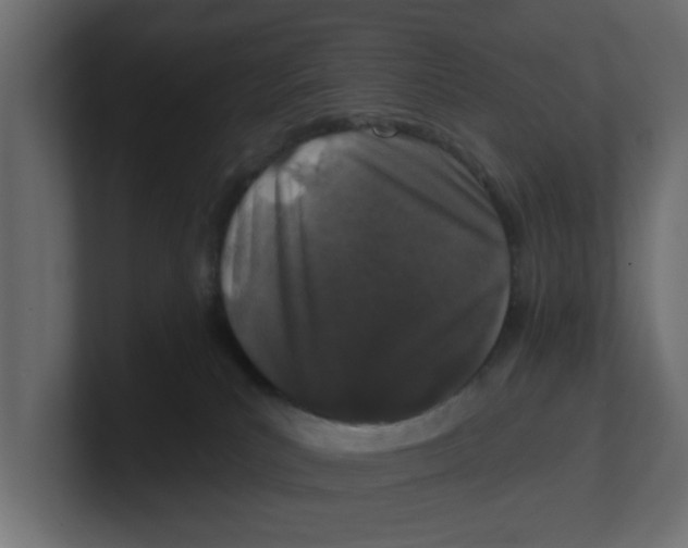 X0000100360039200806271433