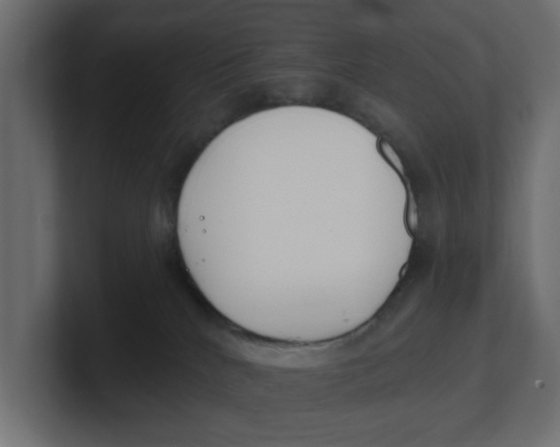 X0000100360040200806271433