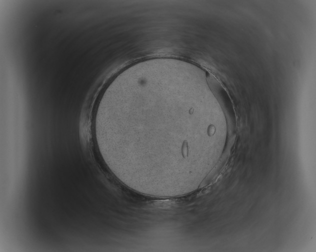 X0000100360050200806271432