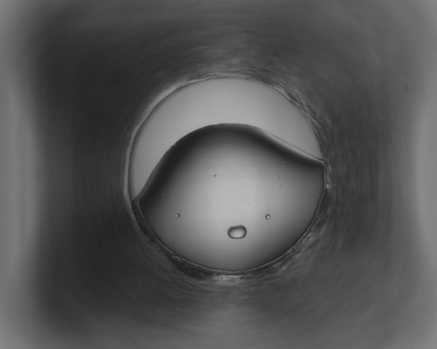 X0000100360052200806271432