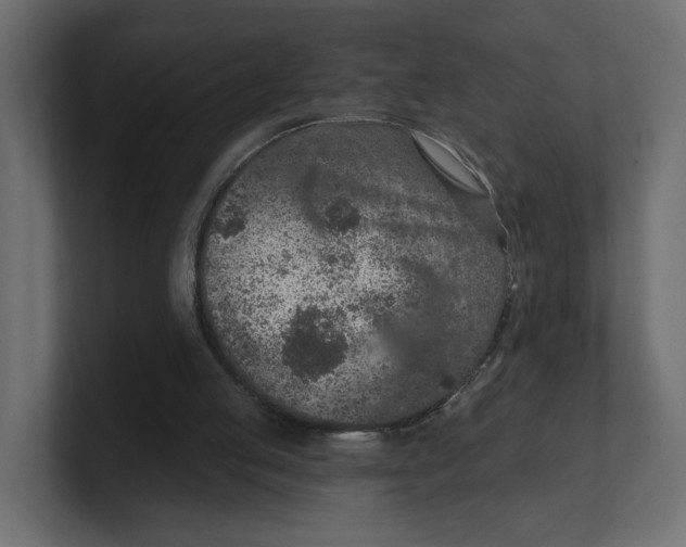 X0000100360053200806271432