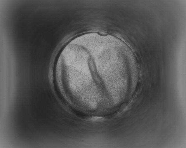 X0000100360055200806271432