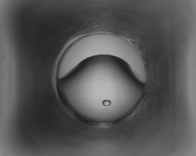 X0000100360056200806271432