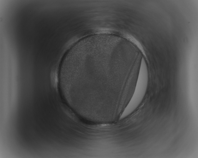 X0000100360059200806271432