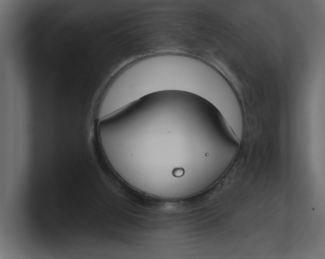 X0000100360060200806271432