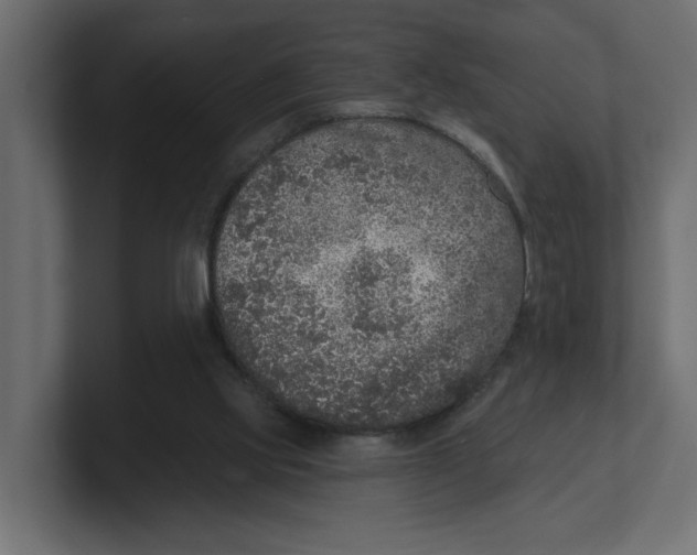 X0000100360061200806271432