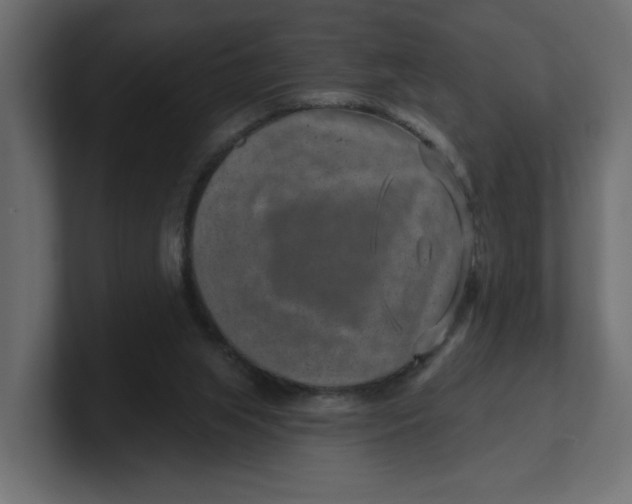 X0000100360063200806271432