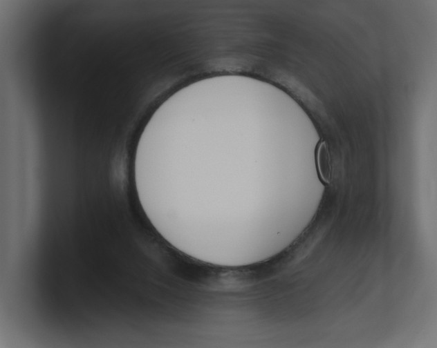 X0000100360064200806271432