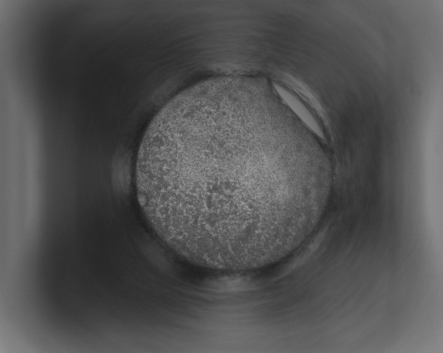 X0000100360065200806271432