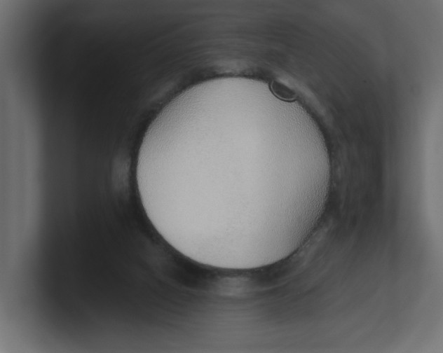 X0000100360066200806271432