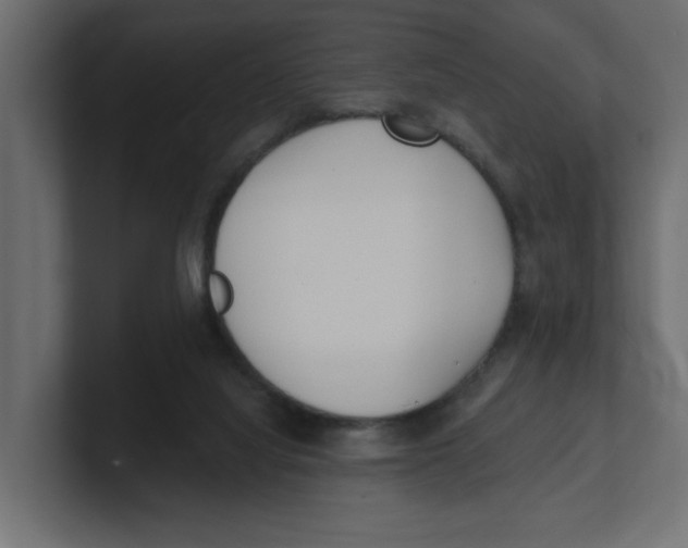 X0000100360068200806271432