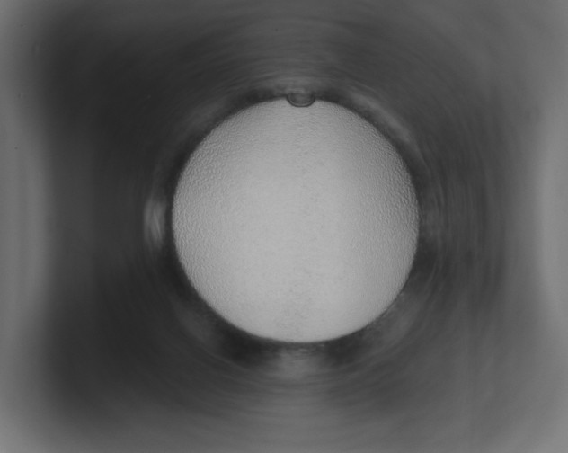 X0000100360070200806271432