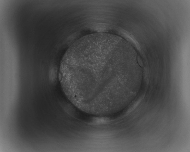 X0000100360073200806271432