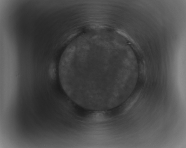 X0000100360080200806271432