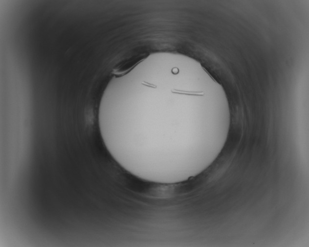 X0000100360084200806271432