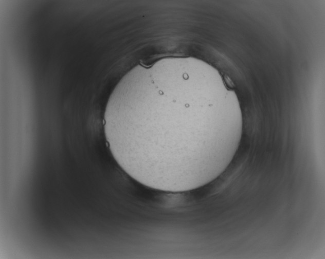 X0000100360085200806271432